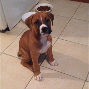 Meet your Posher, Amanda